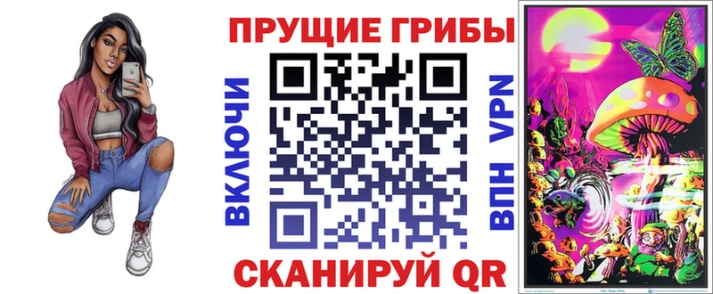 Купить закладки  Барыш  Псилоцибиновые грибы Psilocybe 